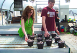YES! students working in their school greenhouse