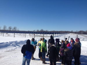 Students touring the Solar Array