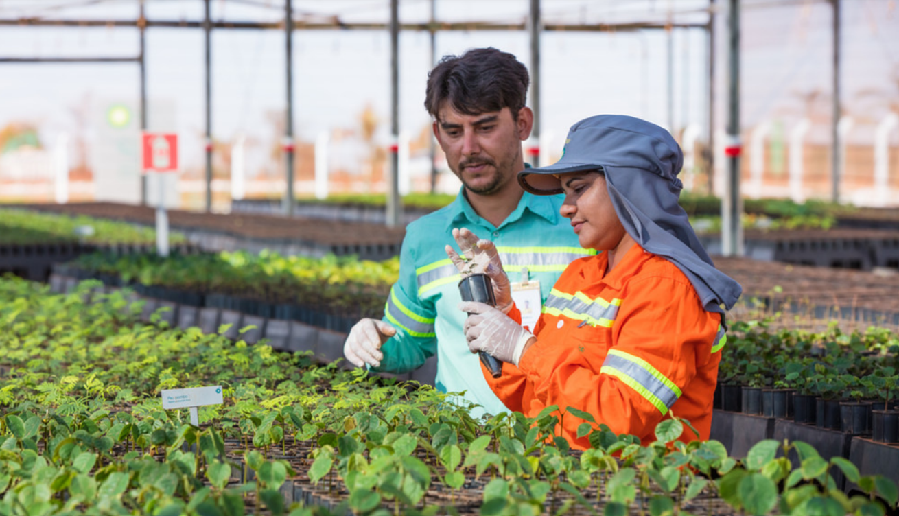 Step into a Green Job Experience Youth Eco Solutions